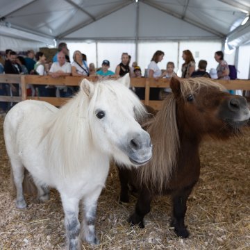 La Ferme pédagogique